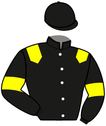 casaque portée par De Jesus Est. jockey du cheval de course INSHOT JOSSELYN, information pmu ZETURF