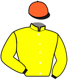 casaque portée par Hardy S. jockey du cheval de course HELIOS SI, information pmu ZETURF