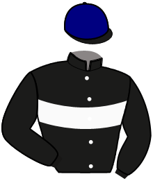 casaque portée par Ploquin Pau. Ph. jockey du cheval de course LOUISIANE DES VAUX, information pmu ZETURF