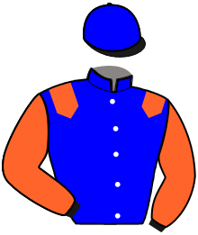 casaque portée par Nivard F. jockey du cheval de course EMERAUDE DE BAIS, information pmu ZETURF