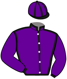 casaque portée par Durville Mar. jockey du cheval de course FLASH DU BIWETZ, information pmu ZETURF