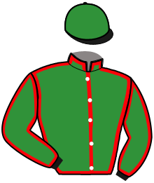 casaque portée par Bertin Lil. jockey du cheval de course GLADIATOR BOY, information pmu ZETURF