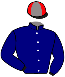 casaque portée par Thomain D. jockey du cheval de course LITTLE BROWN, information pmu ZETURF