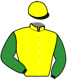 casaque portée par Abrivard M. jockey du cheval de course FRANK GIO, information pmu ZETURF
