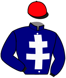 casaque portée par Raffestin J. jockey du cheval de course KALMIO DE LOU, information pmu ZETURF