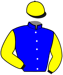 casaque portée par Abrivard M. jockey du cheval de course KENNEDY FRANCE, information pmu ZETURF