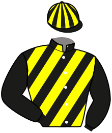 casaque portée par Gelormini G. jockey du cheval de course KONCORD DELO, information pmu ZETURF
