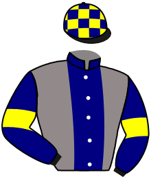 casaque portée par Guyon M. jockey du cheval de course PARIS BABE, information pmu ZETURF