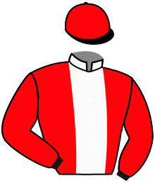 casaque portée par Guyon M. jockey du cheval de course CASSIUS, information pmu ZETURF