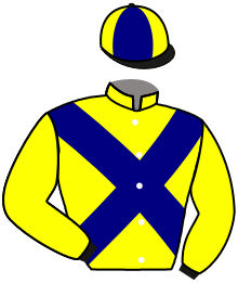 casaque portée par Pouchin A. jockey du cheval de course THE GOOD MAN, information pmu ZETURF