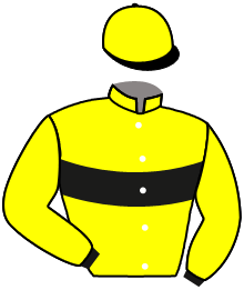 casaque portée par Mendizabal I. jockey du cheval de course GALIA CI, information pmu ZETURF