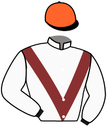 casaque portée par Mendizabal I. jockey du cheval de course GLAVIA, information pmu ZETURF