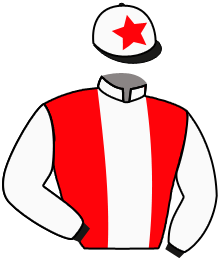 casaque portée par Lecoeuvre C. jockey du cheval de course WOLKE SIEBEN, information pmu ZETURF