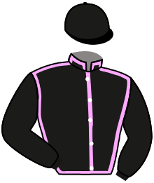 casaque portée par Santiago Mlle D. jockey du cheval de course PTICHKA BASC, information pmu ZETURF