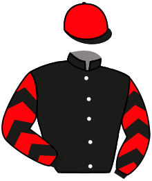 casaque portée par Demuro C. jockey du cheval de course CRIMSON TIDE, information pmu ZETURF
