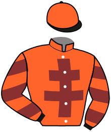 casaque portée par Guyon M. jockey du cheval de course FAR L'AMORE, information pmu ZETURF