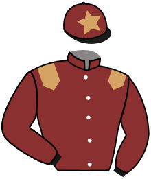 casaque portée par Lecoeuvre C. jockey du cheval de course AUTEUR, information pmu ZETURF