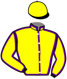 casaque portée par Madamet A. jockey du cheval de course PLEASING, information pmu ZETURF