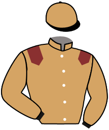 casaque portée par Cieslik Mlle E. jockey du cheval de course KYRIELLE, information pmu ZETURF