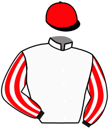 casaque portée par Boutin Hug. jockey du cheval de course CIACCINO, information pmu ZETURF