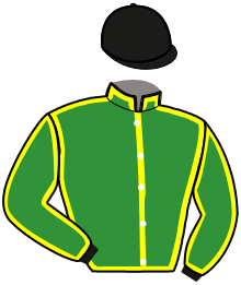casaque portée par Guelpa J. jockey du cheval de course MY WAY ENJOY, information pmu ZETURF