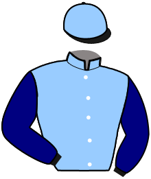 casaque portée par Gout E. jockey du cheval de course MAEVA DES PRES, information pmu ZETURF