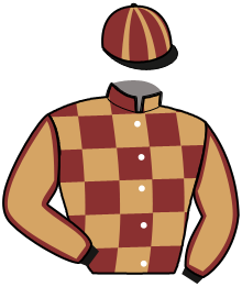 casaque portée par Tomaselli A. jockey du cheval de course MON BEAU MEC, information pmu ZETURF
