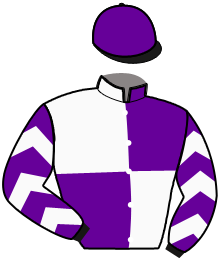 casaque portée par Ensch N. jockey du cheval de course MAGIC JANEIRO, information pmu ZETURF