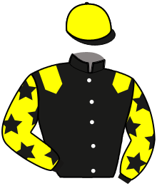 casaque portée par Ohanessian Mlle J. jockey du cheval de course GORLANDO LUDOIS, information pmu ZETURF