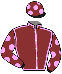 casaque portée par Cinier N. jockey du cheval de course GET UP DE VAUVILLE, information pmu ZETURF