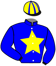 casaque portée par Toussaint C. jockey du cheval de course IRIS RIVOISE, information pmu ZETURF