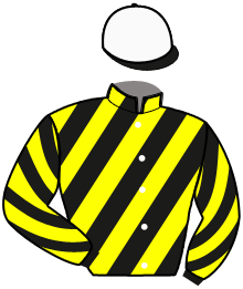 casaque portée par Coubard-meunier Ed. jockey du cheval de course GALOPIN DES CHAMPS, information pmu ZETURF