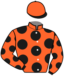 casaque portée par Ensch N. jockey du cheval de course IL PRINCIPINO, information pmu ZETURF