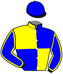 casaque portée par Gout L. jockey du cheval de course IBRAHIC, information pmu ZETURF