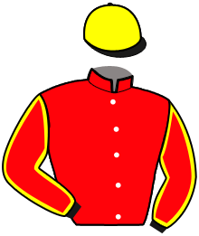 casaque portée par Briand Y. A. jockey du cheval de course JAZZ BLUE, information pmu ZETURF
