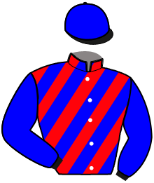 casaque portée par Gout L. jockey du cheval de course KRISTINA DU CLOS, information pmu ZETURF