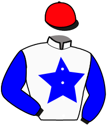 casaque portée par Repichet P. jockey du cheval de course KAREN D'IRAI, information pmu ZETURF
