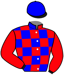 casaque portée par Briand Thé. jockey du cheval de course LOUNA D'AUVILLIER, information pmu ZETURF