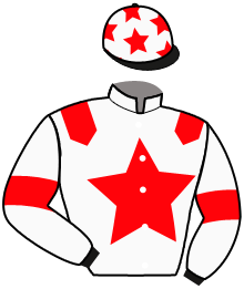 casaque portée par Cingland S. jockey du cheval de course LOUNA STAR, information pmu ZETURF