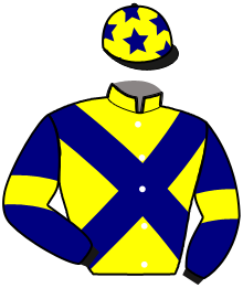 casaque portée par Repichet P. jockey du cheval de course L'AMIRAL D'EURVAD, information pmu ZETURF