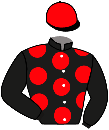 casaque portée par Zuliani L. jockey du cheval de course HISO, information pmu ZETURF