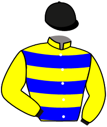 casaque portée par Sporli Tit. jockey du cheval de course KOUDOU, information pmu ZETURF