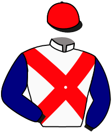 casaque portée par Reveley J. jockey du cheval de course ILTONE, information pmu ZETURF