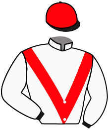 casaque portée par Champier G. jockey du cheval de course BULIE, information pmu ZETURF