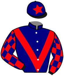 casaque portée par Manceau E. jockey du cheval de course KLOVIS BLEUE, information pmu ZETURF
