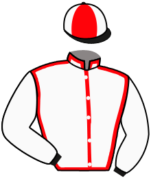 casaque portée par Gelhay B. jockey du cheval de course TOP DAAY, information pmu ZETURF