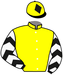 casaque portée par Gelhay B. jockey du cheval de course NOUBAKA, information pmu ZETURF