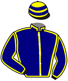 casaque portée par Champier G. jockey du cheval de course LEELOU BAIE, information pmu ZETURF