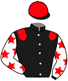 casaque portée par Grosbois Chr. jockey du cheval de course KLIFFHANGER, information pmu ZETURF