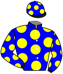 casaque portée par Breux D. jockey du cheval de course MOLIONEPHY, information pmu ZETURF